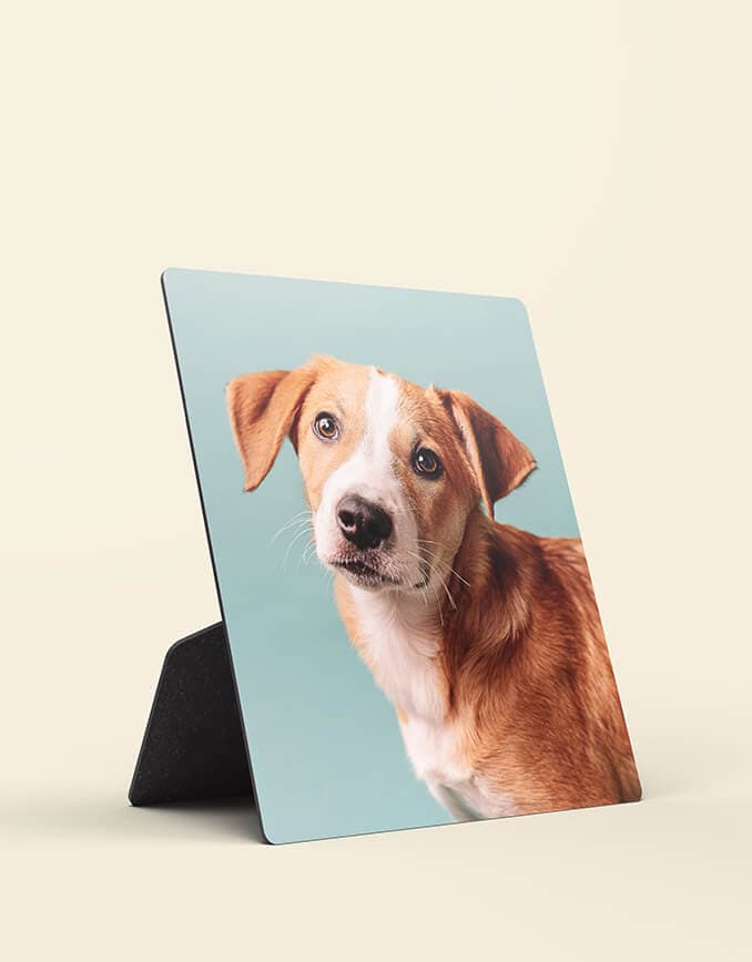 Photo plaques